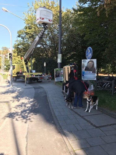 Processed with MOLDIV