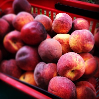 7F885E13-323E-4ADF-A311-A3ABDC65D4FA