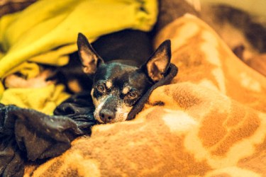 Stube 20190905-30012