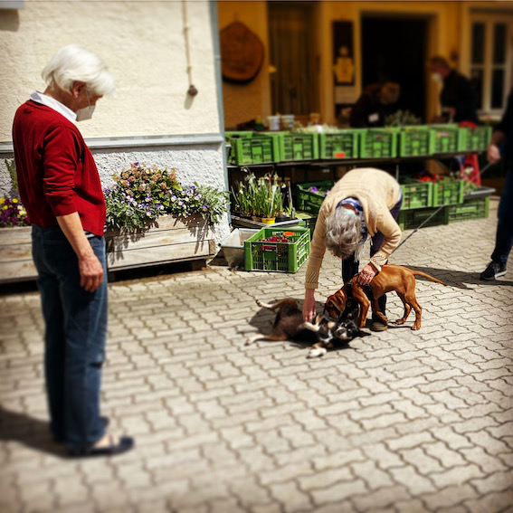 6A954EE8-F0C5-4884-8067-C8876FB17B87