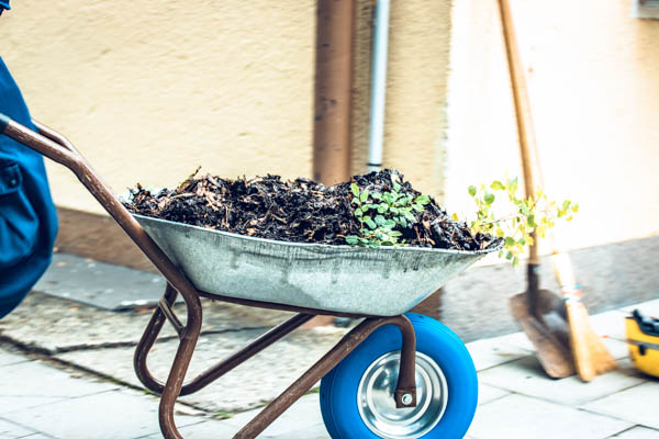 THW Besuch 20210717-1288