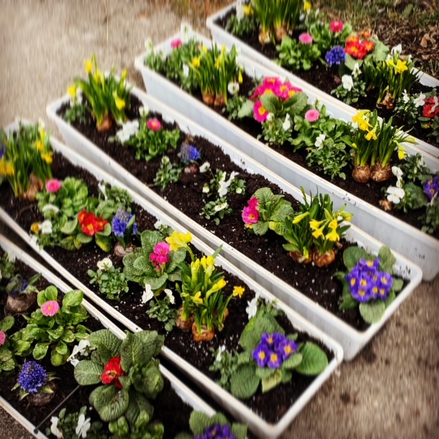 25943E83-2289-44F6-A376-7049FE39B596